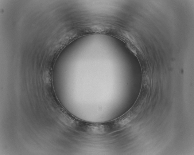 X0000088570317200706081104