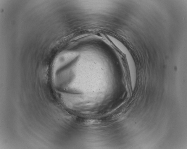 X0000088570319200706081104