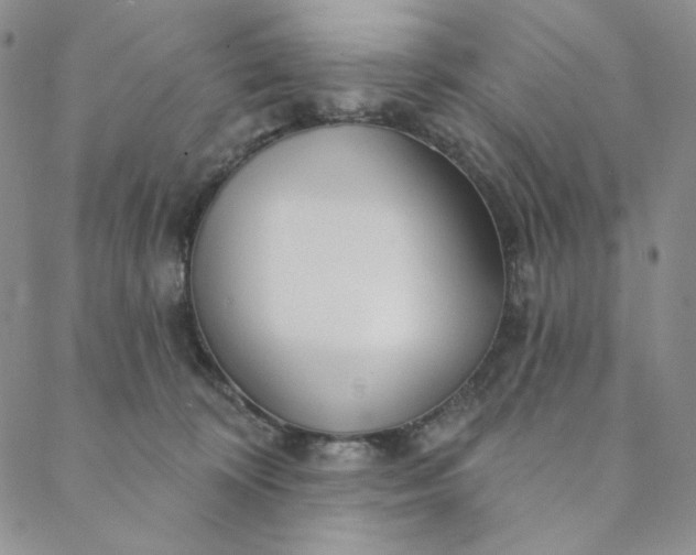 X0000088570324200706081104