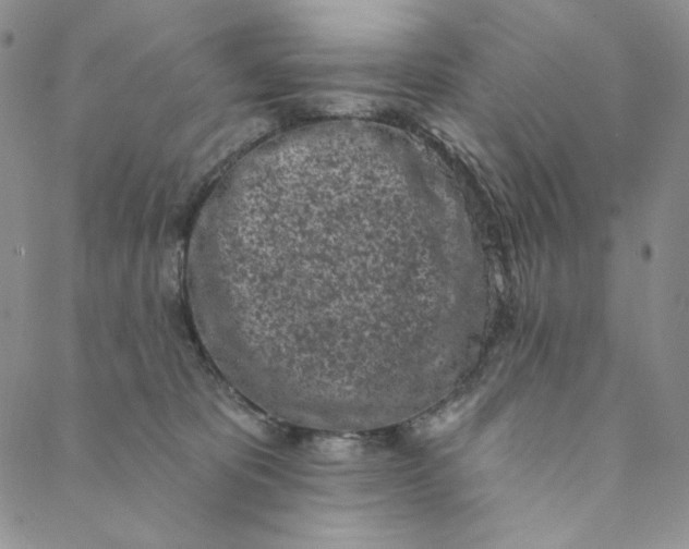 X0000088570325200706081104
