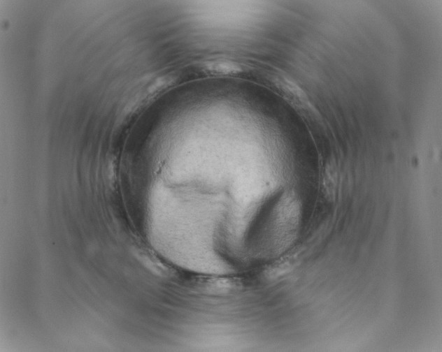 X0000088570330200706081104