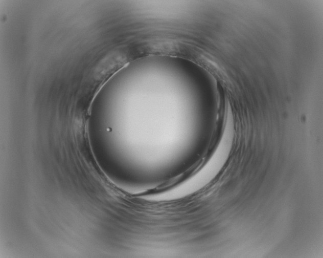 X0000088570333200706081104