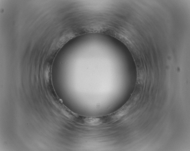 X0000088570334200706081104