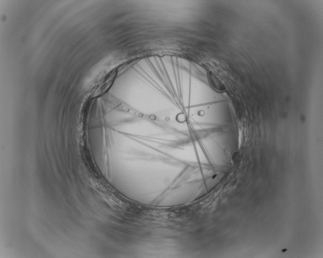 X0000088570339200706081103