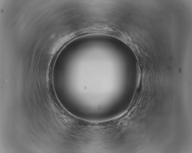 X0000088570340200706081103
