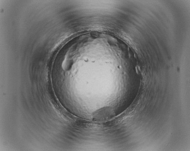 X0000088570347200706081103