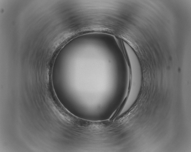 X0000088570350200706081103