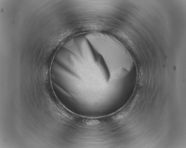 X0000088570355200706081103