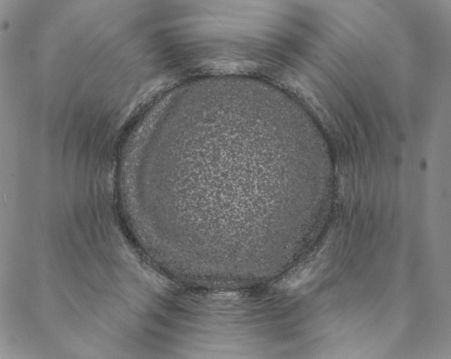 X0000088570357200706081103