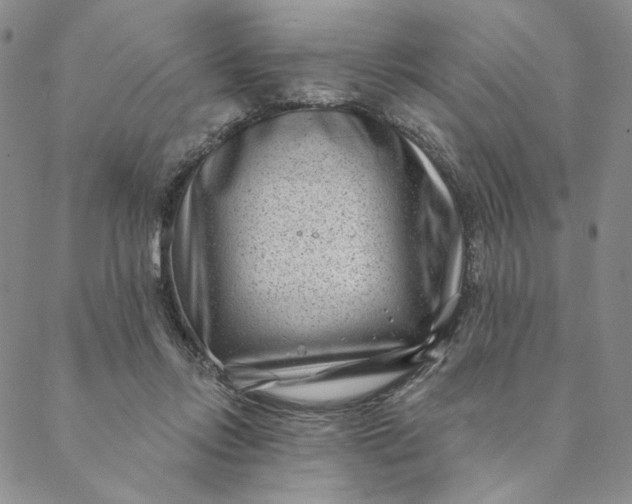 X0000088570358200706081103