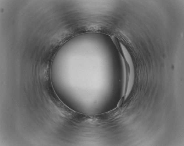 X0000088570364200706081104
