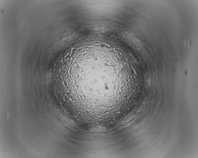 X0000088570369200706081104
