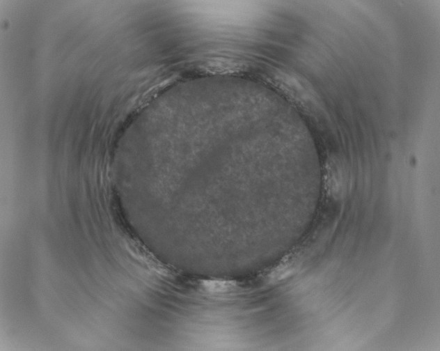X0000088570371200706081104