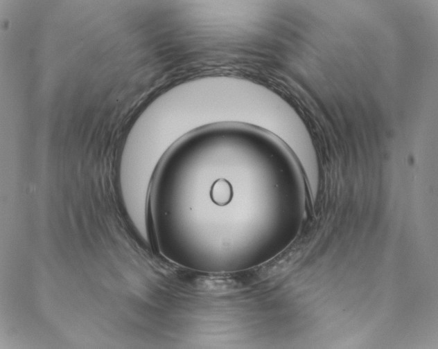 X0000088570372200706081104