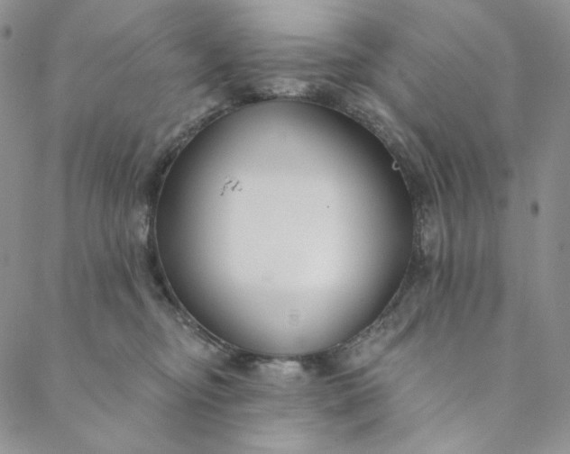 X0000088570374200706081104