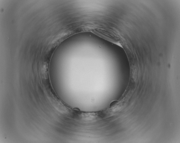 X0000088570378200706081104