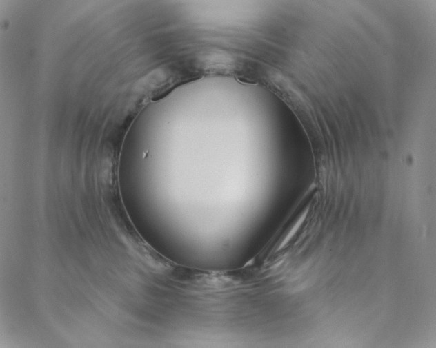 X0000088570379200706081104