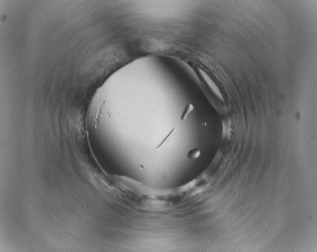 X0000088570380200706081104