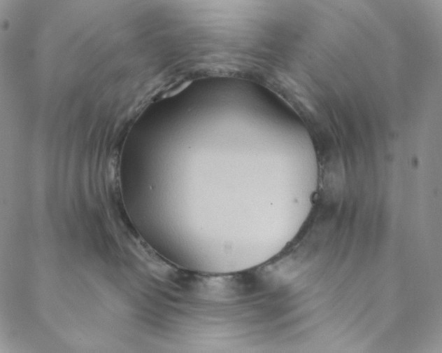 X0000088570382200706081104