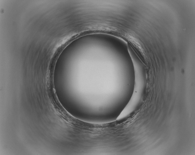 X0000088570388200706081103