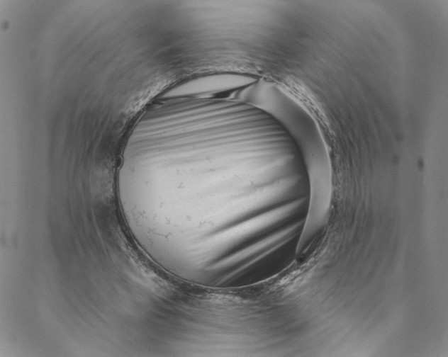 X0000088570393200706081103