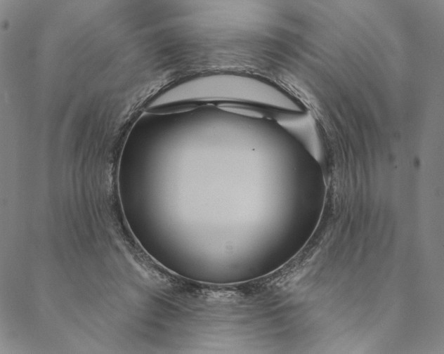 X0000088570401200706081103