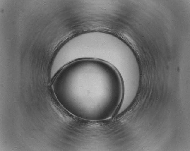 X0000088570405200706081103