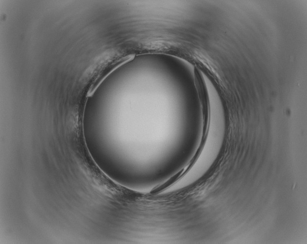 X0000088570407200706081103