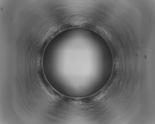 X0000088570408200706081103