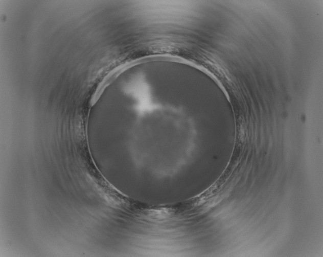 X0000088570411200706081103