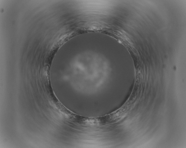 X0000088570415200706081103