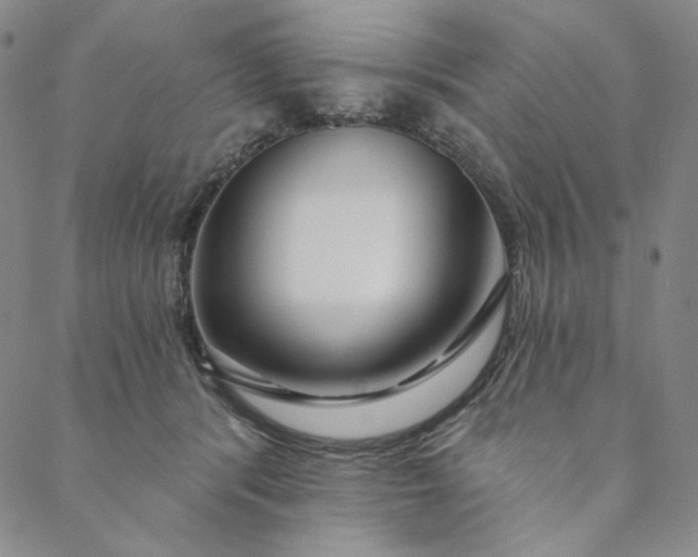 X0000088570416200706081103