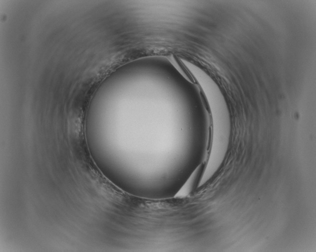 X0000088570417200706081103