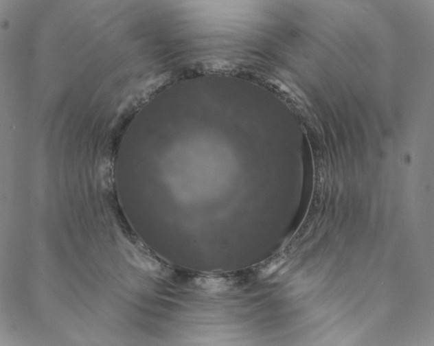 X0000088570419200706081103