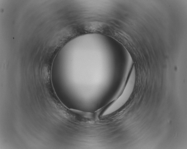 X0000088570420200706081103