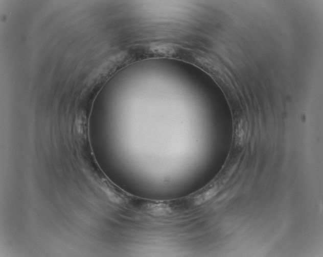 X0000088570424200706081103