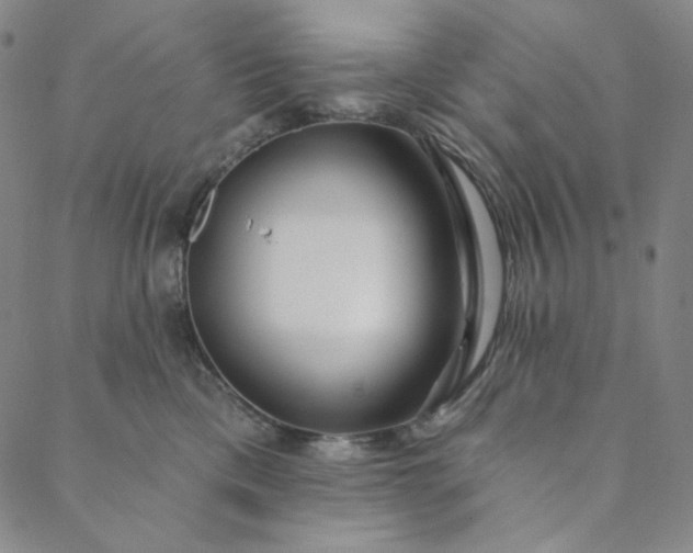 X0000088570425200706081102
