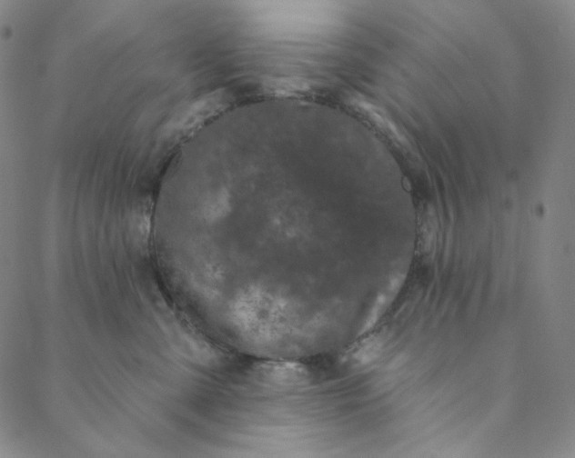 X0000088570427200706081102