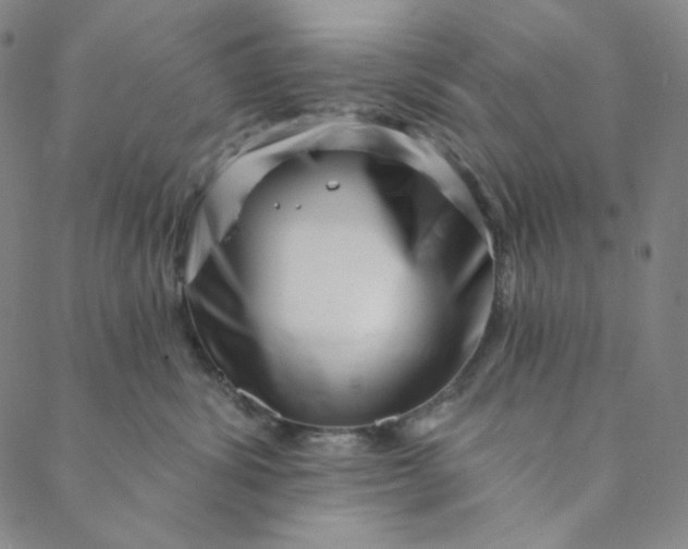 X0000088570428200706081102