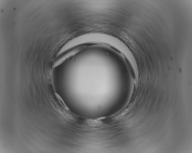 X0000088570429200706081102