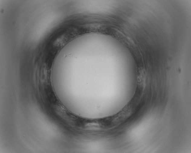X0000088570430200706081102
