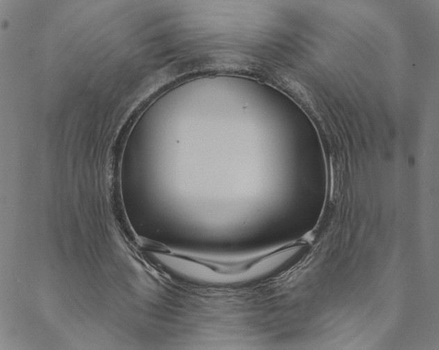 X0000088570435200706081102