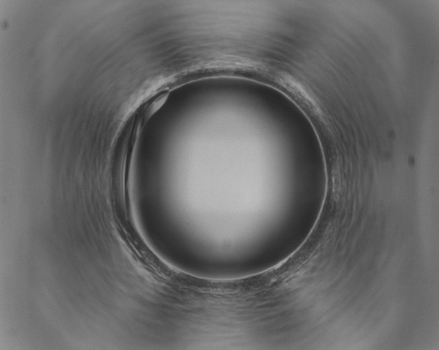 X0000088570436200706081102
