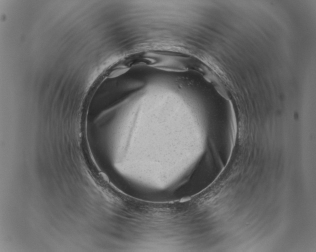 X0000088570438200706081102