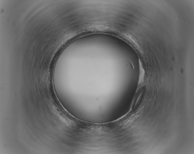 X0000088570439200706081102