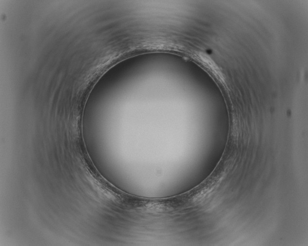 X0000088570441200706081102