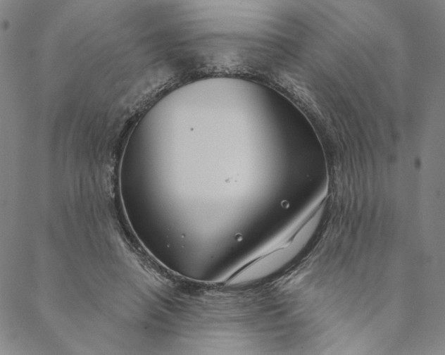 X0000088570450200706081102