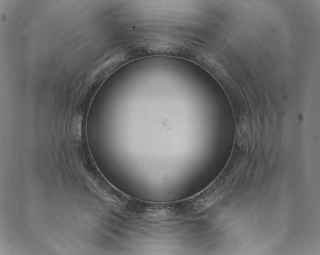 X0000088570454200706081102