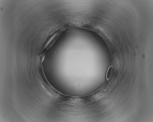 X0000088570459200706081102