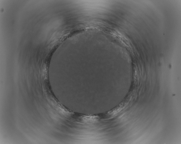 X0000088570465200706081102